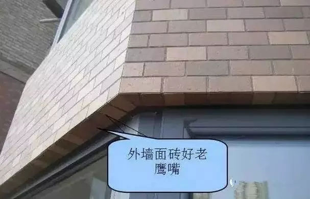 ǽ©