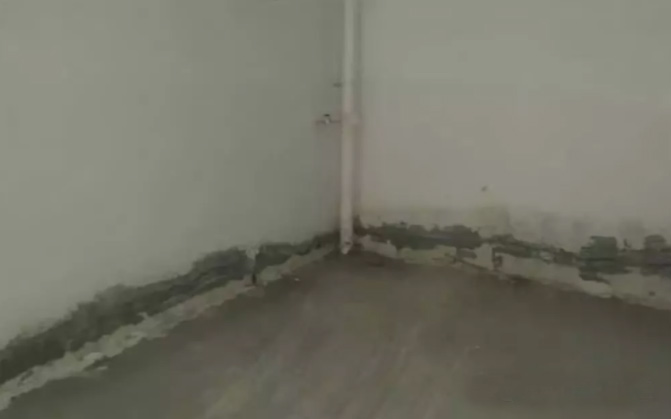 ˮ